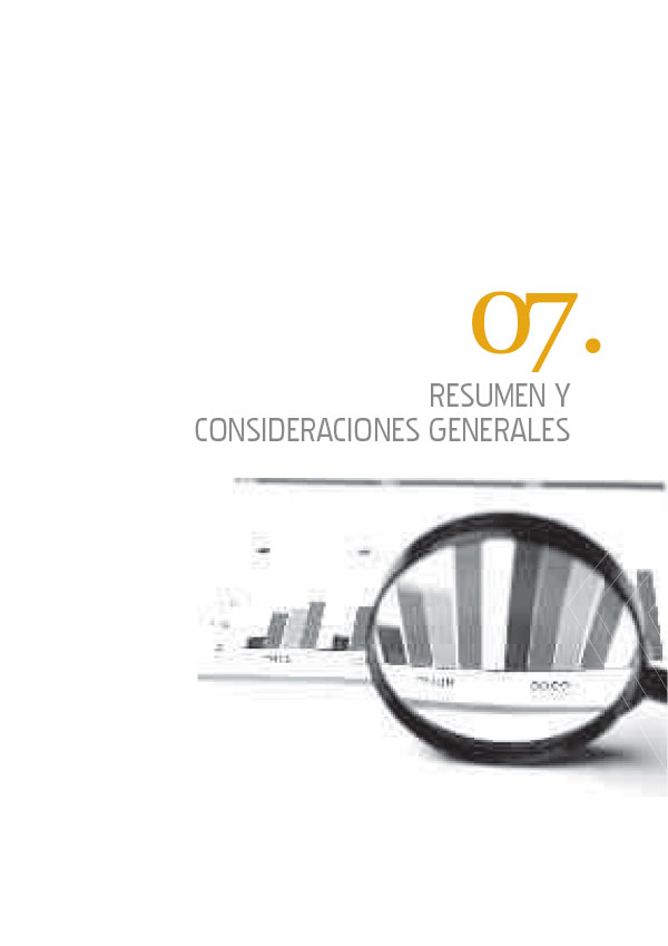 Resumen y consideraciones generales 2008