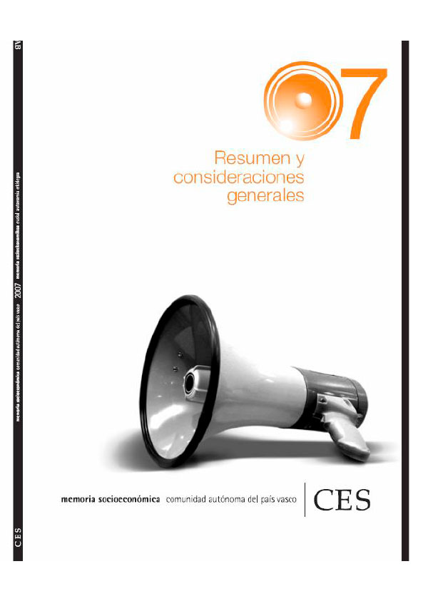 Resumen y consideraciones generales 2007