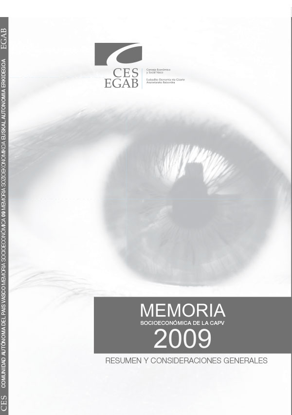 Resumen y consideraciones generales, Memoria Socioeconómica 2009